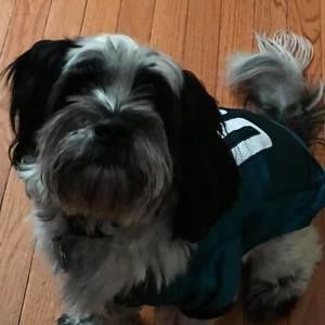 Meet your Posher, Ed